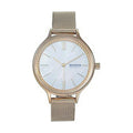 Montre Femme Skagen ANITA (Ø 30 mm)