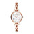 Montre Femme Armani AR11108 (32 mm)