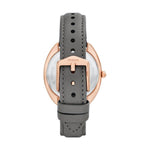 Montre Femme Fossil GABBY (Ø 34 mm)