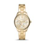 Montre Femme Fossil RYE (Ø 36 mm)