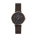 Montre Femme Skagen AAREN NATURALS (Ø 36 mm)