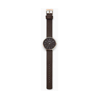 Montre Femme Skagen AAREN NATURALS (Ø 36 mm)