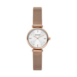 Montre Femme Skagen AMBERLINE (Ø 28 mm)