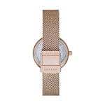 Montre Femme Skagen AMBERLINE (Ø 28 mm)