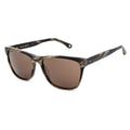 Lunettes de soleil Homme Hackett HSB84917355 Marron (ø 55 mm)