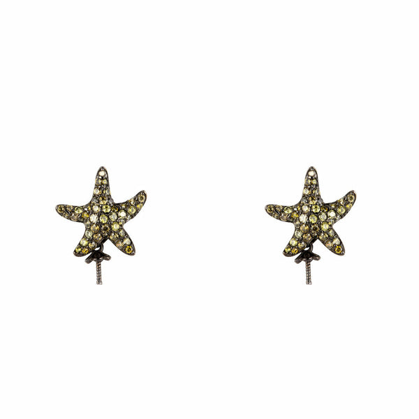 Boucles d´oreilles Femme Lancaster JLA-EAR-STAR-3