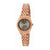 Montre Femme Radiant RA384205 (Ø 32 mm)