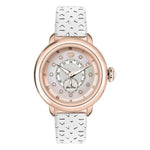 Montre Femme Glam Rock GR77008 (Ø 40 mm)